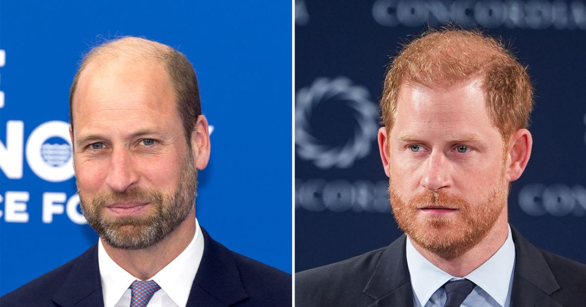 Prince Harry’s Friend Jaco van Gass Honored by Prince William