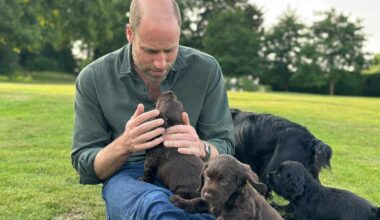 Kate Middleton and Kids Lead Birthday Wishes for Prince William