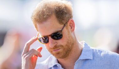 Prince Harry Apparently Wants His Kids to Have Option of Being Working Royals