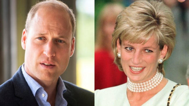 Prince William's Resemblance to Princess Diana Predicted Royal Future