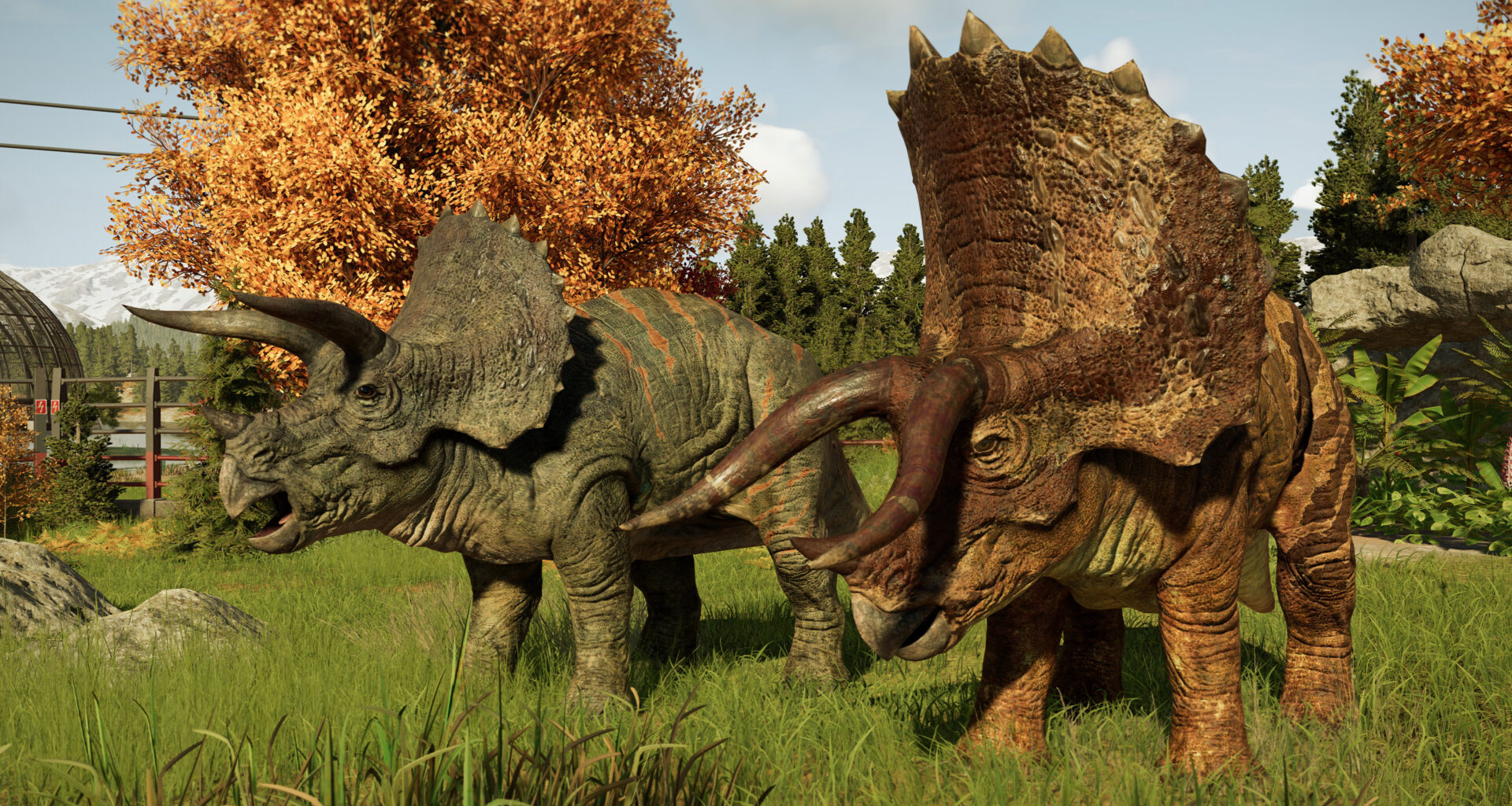 A pair of triceratops in Jurassic World Evolution 3.