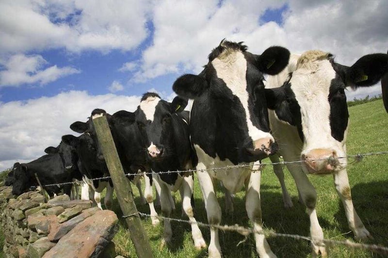 Sinn Féin say a Brexit will have a negative impact on the north's agrifood sector  