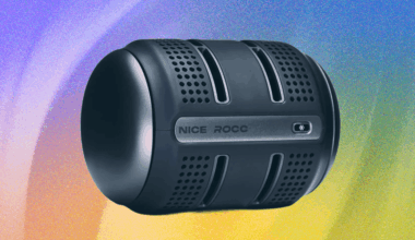 Nice Rocc Palm Cooling Device Review: Pricey, Effective Palm Cooling