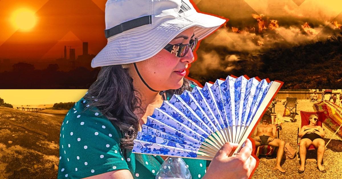 Scorching 40C temperatures 'will soon become new normal for the UK' | News UK