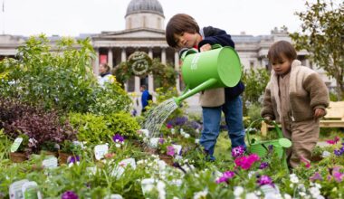 London should copy Mumbai: how rewilding can make us love our city again