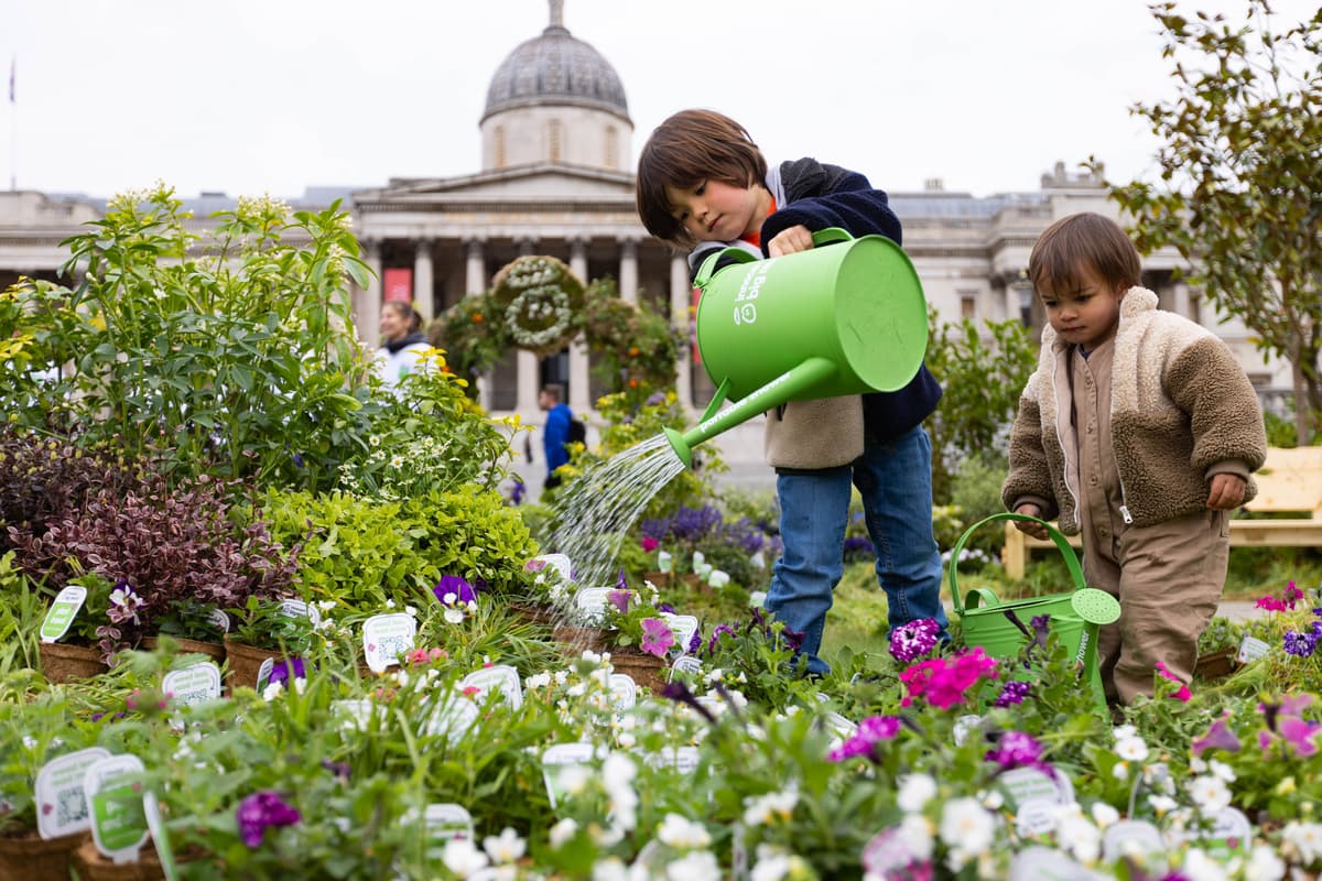 London should copy Mumbai: how rewilding can make us love our city again