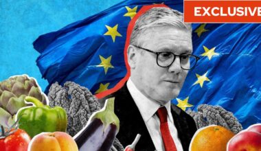 Fruit and veg from EU set to get cheaper as UK axes border checks in Brexit reset