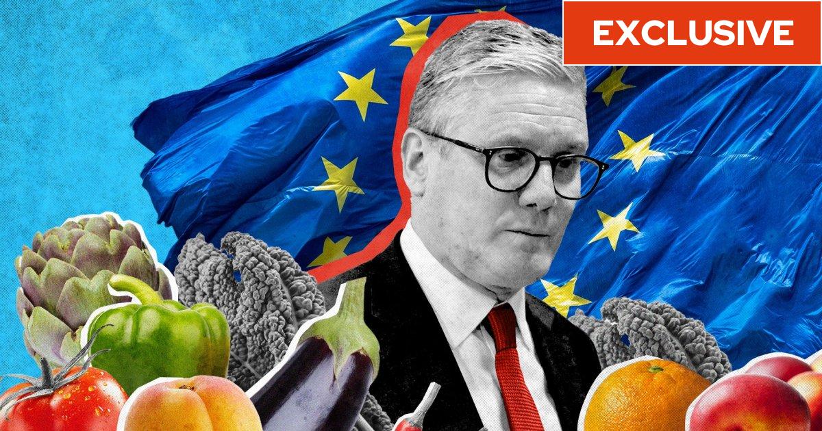 Fruit and veg from EU set to get cheaper as UK axes border checks in Brexit reset