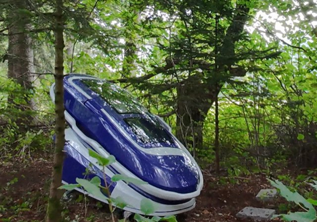 A handout picture released by "The Last Resort", an assisted dying group, on September 24, 2024 and taken on the morning of September 23, 2024 shows the Sarco pod at the location where it was allegedly used by a 64-year-old American woman who "died using the Sarco device" at approximately 4:01 pm on September 23, 2024, according to a statement by "The Last Resort". Swiss police announced on September 24, 2024 that several people were taken into custody after the controversial Sarco suicide pod was used to end a woman's life. Police in the northern Schaffhausen canton said the capsule had been used on September 23, 2024 at a forest hut, after which several people were taken into custody -- and are now facing criminal proceedings. (Photo by Handout / THE LAST RESORT / AFP) / RESTRICTED TO EDITORIAL USE - MANDATORY CREDIT "AFP PHOTO /THE LAST RESORT " - NO MARKETING NO ADVERTISING CAMPAIGNS - DISTRIBUTED AS A SERVICE TO CLIENTS (Photo by HANDOUT/THE LAST RESORT/AFP via Getty Images)