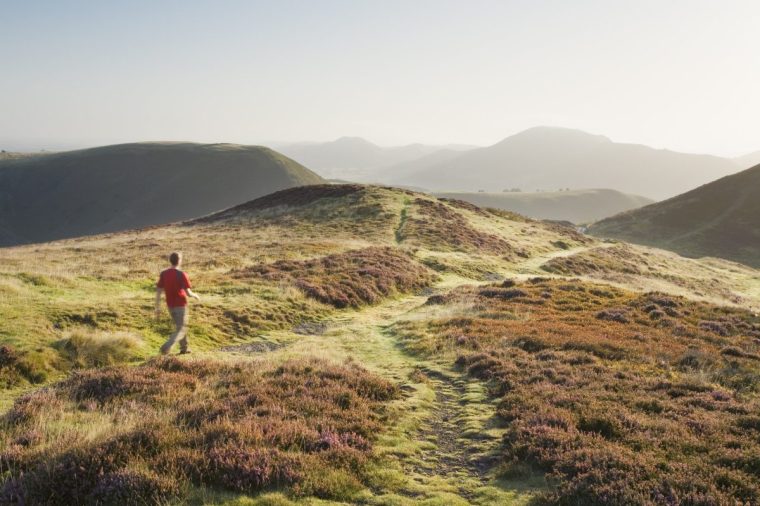 Caucasian Male Walker (30 Years Old) on the Long Mynd. Shropshire. England. UK.