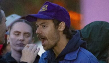 Harry Styles spotted dancing up a storm at London music festival