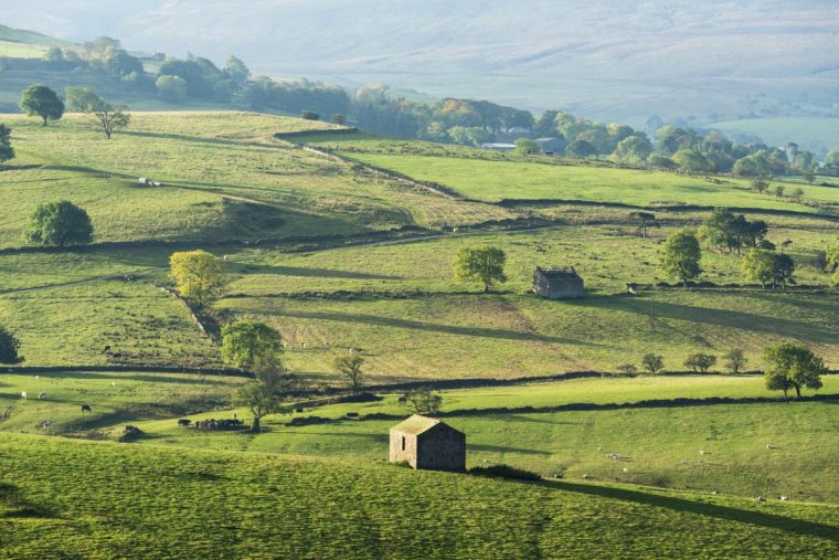 A beautiful view of the Eden Valley in Cumbria. With old barns and scattered trees among the green fields.Kirkby Stevens, Cumbria.