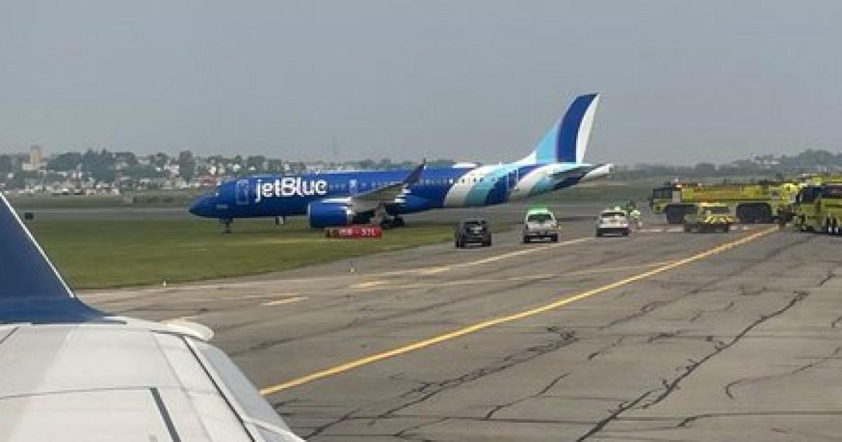 Plane skids off runway into grass while landing in Boston | News US