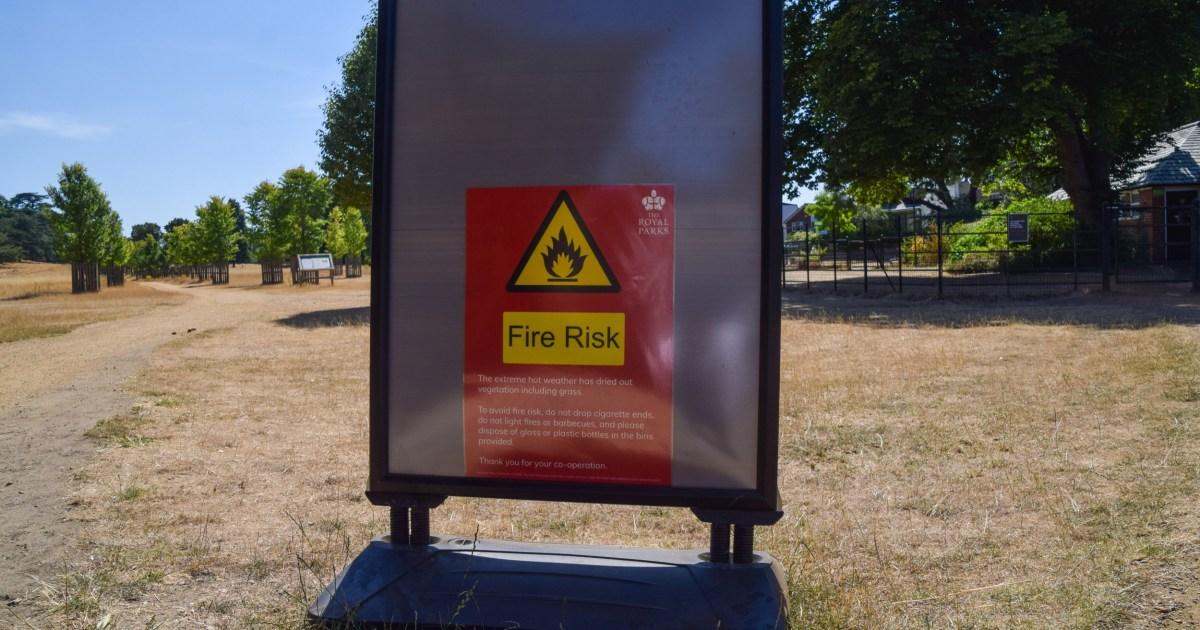 Heatwave alert: UK is now 20 times more likely to see a 40°C summer | News Tech