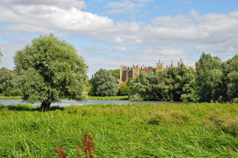 Framlingham, Suffolk, United Kingdom August 15, 2019. Lake (or Mere) with reeds, trees and medieval castle walls in the background. Bright summers day with cloudy sky. Shot from the far side of the lake.