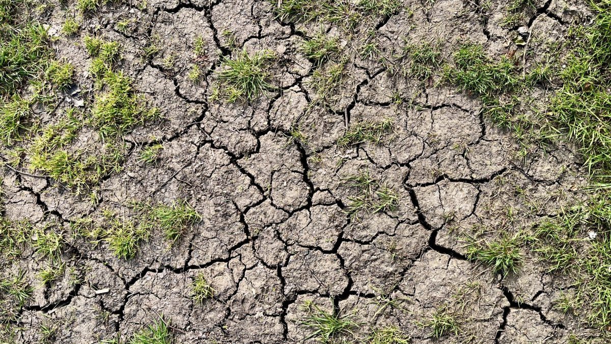 The areas at risk of drought as 35°C heatwave looms