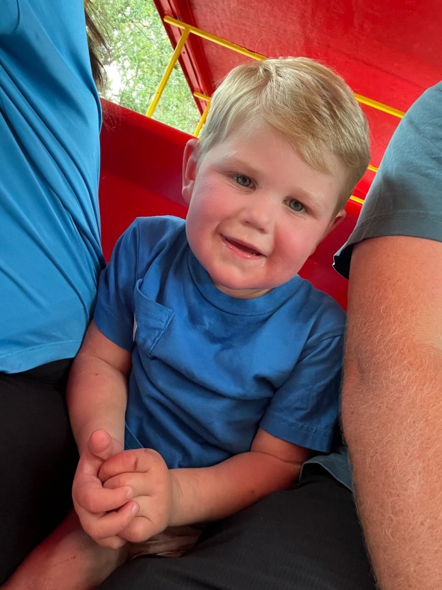 A 2-year-old boy was left fighting for his life after he was stung more than 150 times by yellow jackets, shutting down key organs. Little Beckham Reed ? who was born with just one kidney ? was swarmed by the wasps when he bumped into a nest while riding in a toy car with his cousins in Georgia, according to a family fundraiser. His parents rushed him to an emergency room, where he was given morphine and Benadryl.