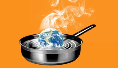 Fossil fuels are an insurance disaster  
