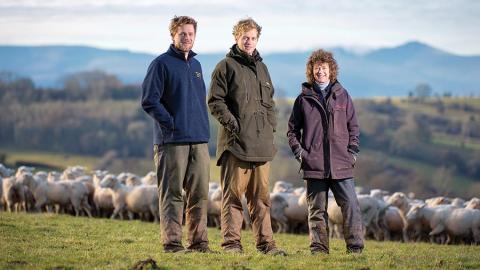 Maternal Genetics: Unlocking the Extra Income at High Country Romneys