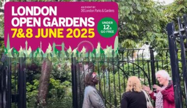 WATCH: London Open Gardens 2025 offers rare glimpse into southwest London’s hidden spaces