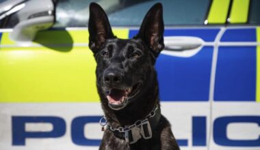 Cheshire and North Wales Police Dog Unit pay tribute to PD Toro