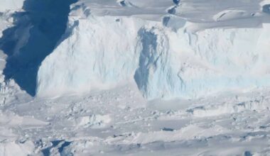 Millions of years in Antarctica
