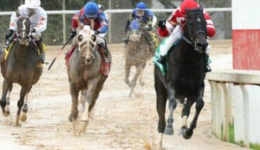 Cox unveils sister to Serengeti Empress