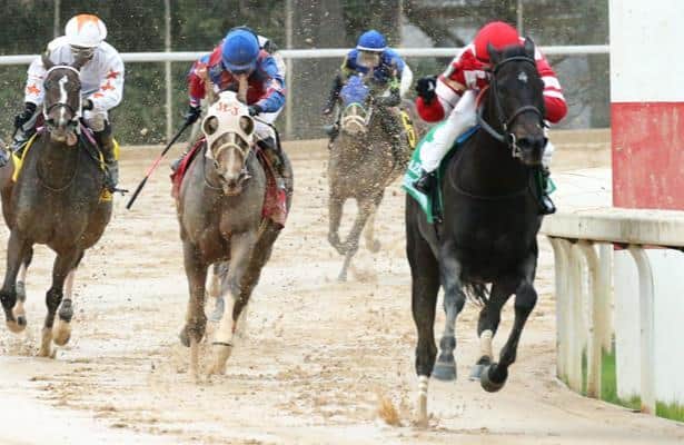 Cox unveils sister to Serengeti Empress