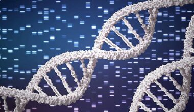 Large genetic map of Indians flags hidden disease risks