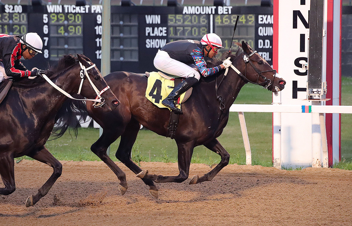 Sophia's Storm Wires Field in La Verendrye Stakes at Assiniboia Downs