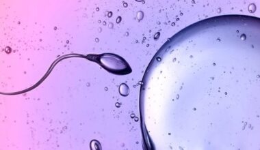 Scientists Caught Sperm Defying One of Newton's Laws of Physics : ScienceAlert