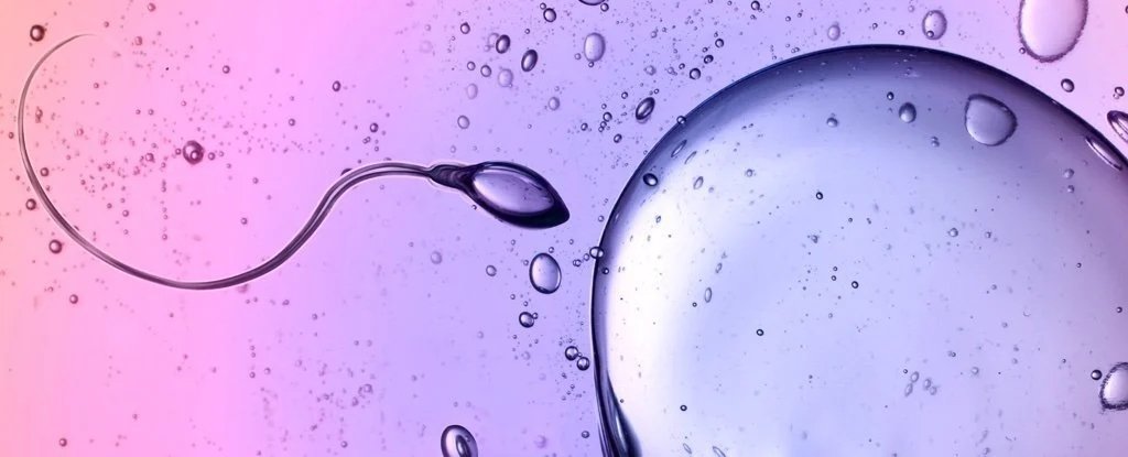 Scientists Caught Sperm Defying One of Newton's Laws of Physics : ScienceAlert