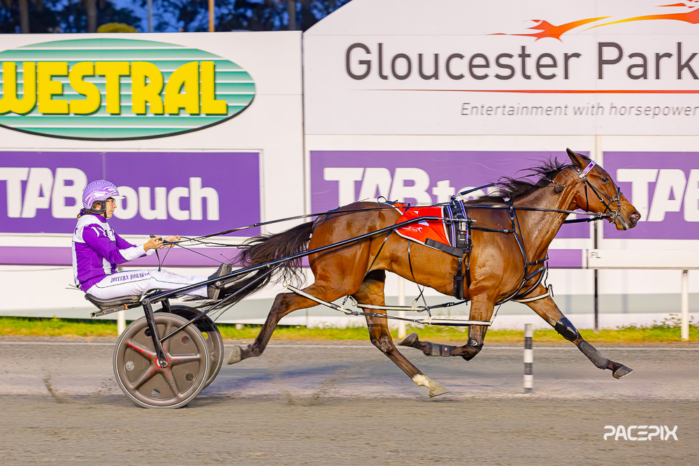Redcliffe Test Awaits Young - Gloucester Park Harness Racing