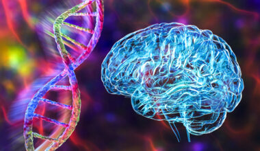 Several Psychiatric Disorders Share The Same Root Cause, Study Finds : ScienceAlert