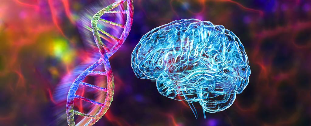 Several Psychiatric Disorders Share The Same Root Cause, Study Finds : ScienceAlert