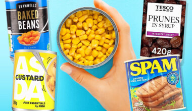 Protein-packed beans, canned custard's vitamins and other hidden health benefits of bargain tinned foods revealed