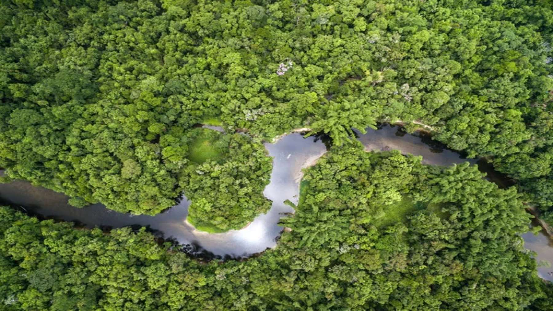 Amazon’s solar energy