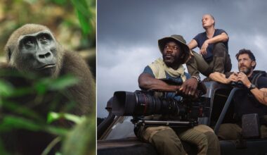 On the left, a close-up of a gorilla amidst green foliage. On the right, three filmmakers sit on a vehicle under a cloudy sky, one holding a large camera, all looking thoughtfully into the distance.