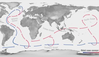 The global ocean conveyor belt