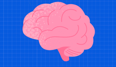 4 Nutrients You Should Eat to Prevent Dementia
