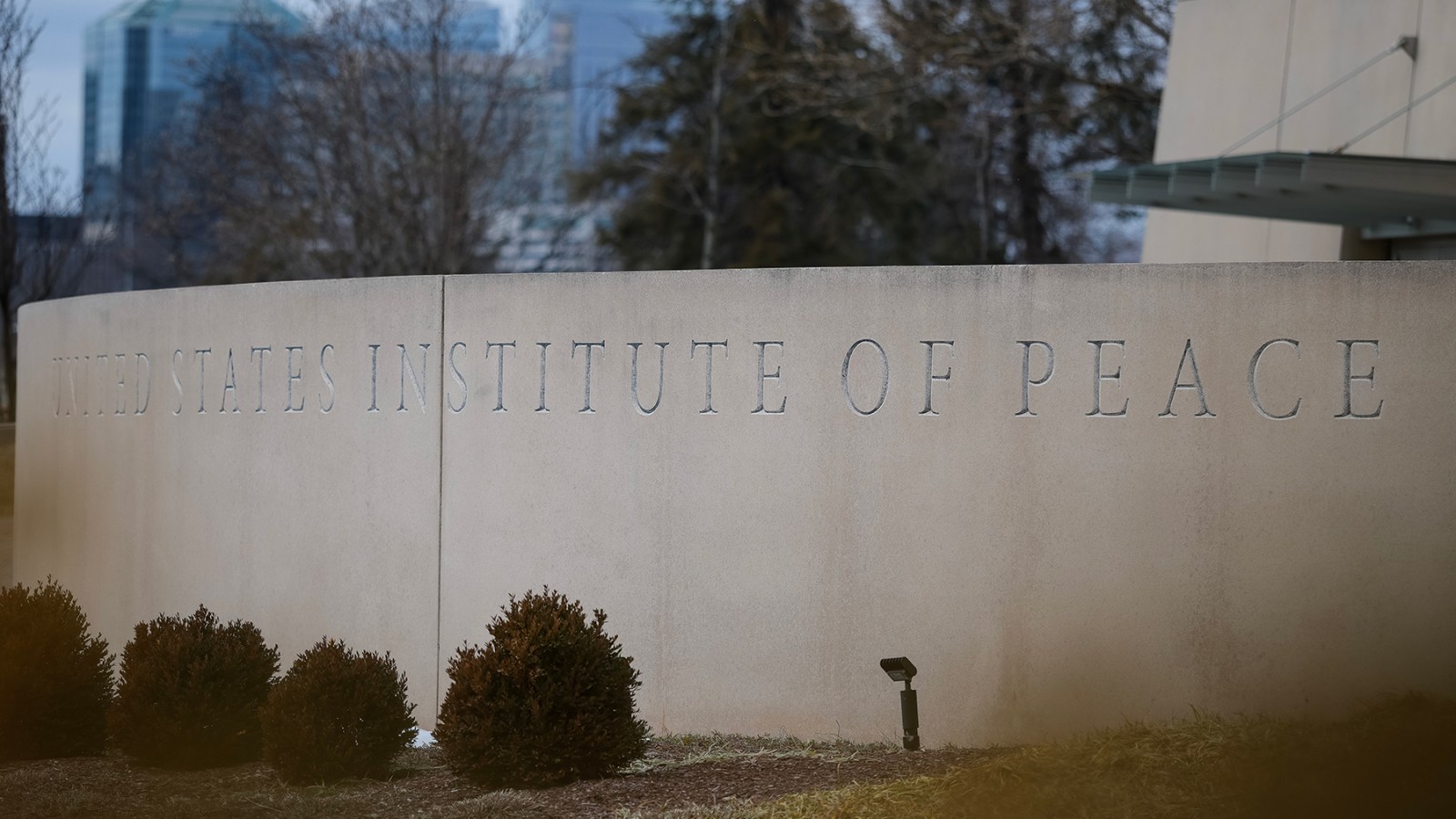 Did DOGE Staffers Leave Weed in U.S. Institute of Peace?