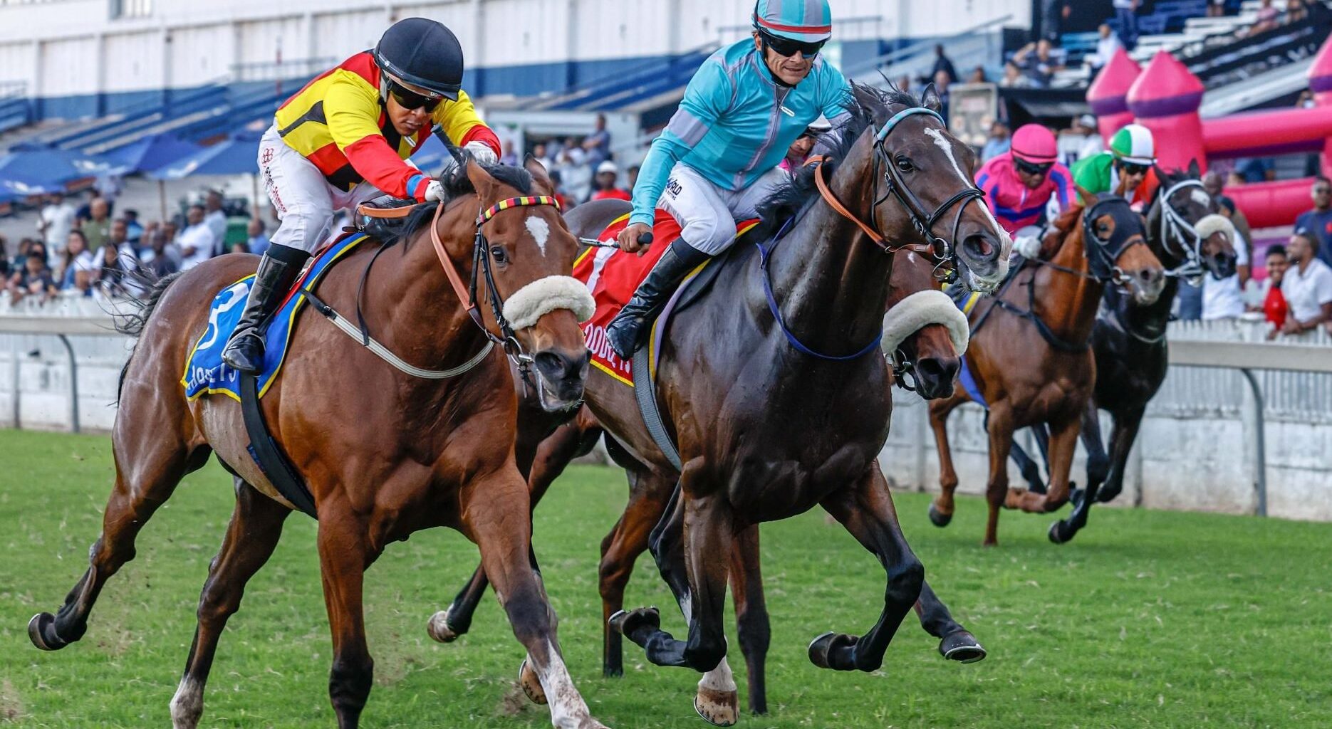 Hollywoodbets Durban July: Snaith Supplements Querari Gelding