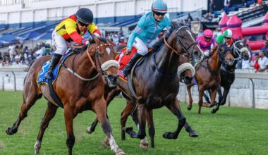 Hollywoodbets Durban July: Snaith Supplements Querari Gelding