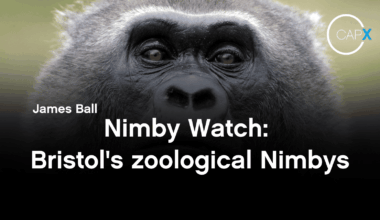 Nimby Watch: Bristol's zoological Nimbys