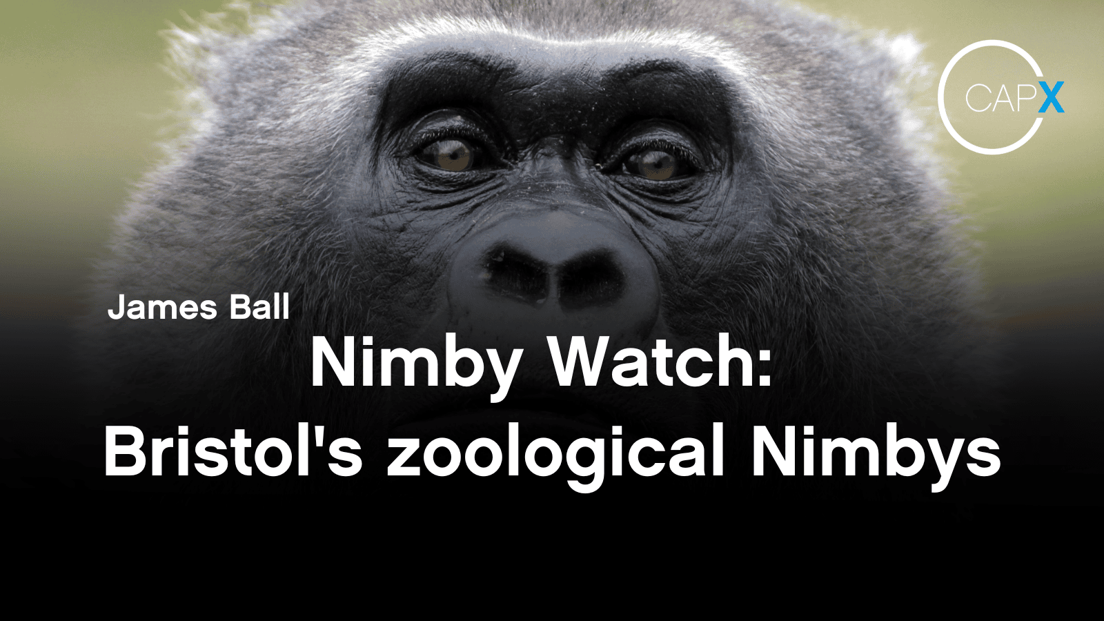 Nimby Watch: Bristol's zoological Nimbys