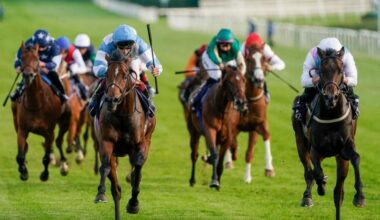 Our best Lingfield bets tonight