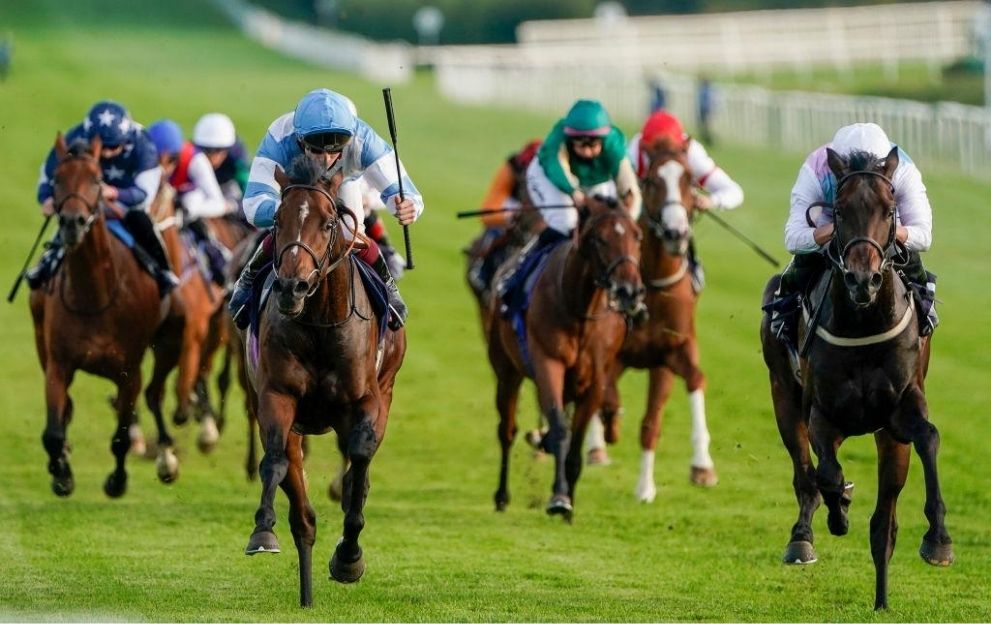 Our best Lingfield bets tonight
