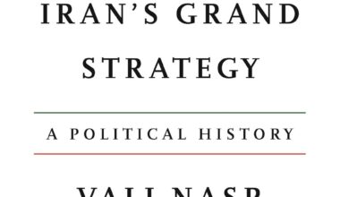 Iran's Grand Strategy by Vali Nasr: book review