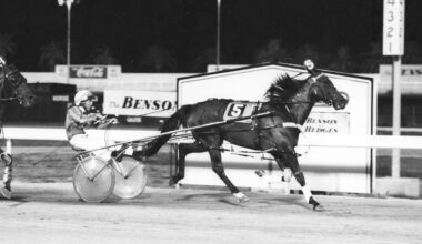 The Lewis - Gloucester Park Harness Racing