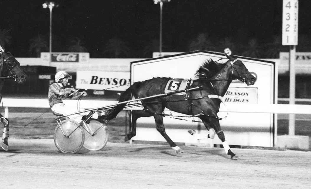 The Lewis - Gloucester Park Harness Racing